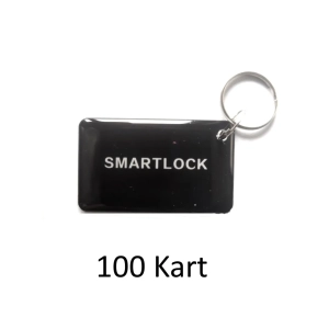 Zestaw kart zbliżeniowych do zamka TTL (100 szt.)